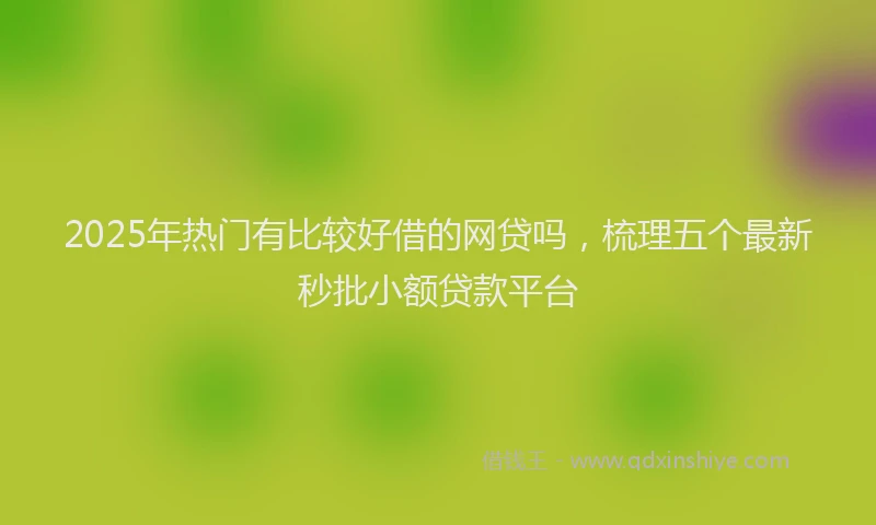 2025年热门有比较好借的网贷吗，梳理五个最新秒批小额贷款平台