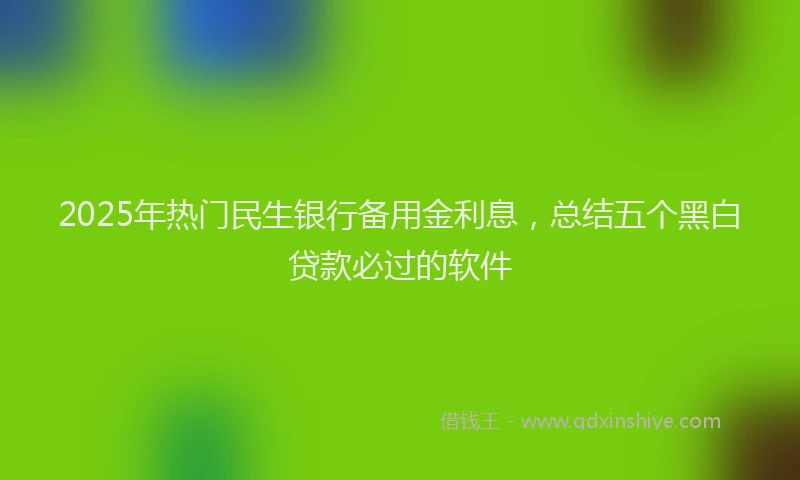 2025年热门民生银行备用金利息，总结五个黑白贷款必过的软件