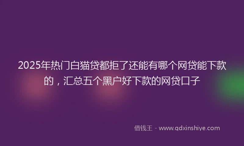 2025年热门白猫贷都拒了还能有哪个网贷能下款的，汇总五个黑户好下款的网贷口子