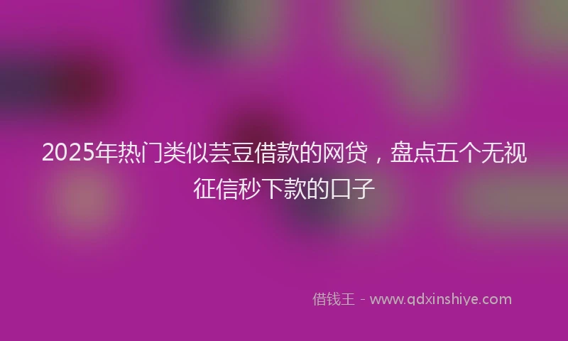 2025年热门类似芸豆借款的网贷，盘点五个无视征信秒下款的口子