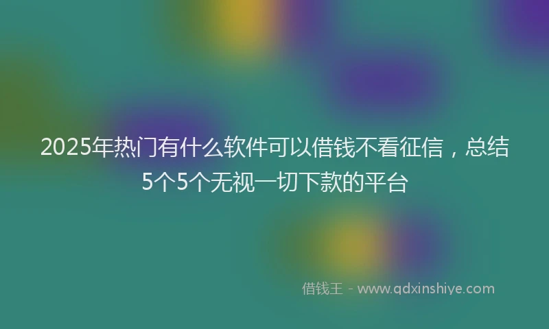 2025年热门有什么软件可以借钱不看征信，总结5个5个无视一切下款的平台