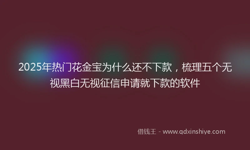 2025年热门花金宝为什么还不下款，梳理五个无视黑白无视征信申请就下款的软件