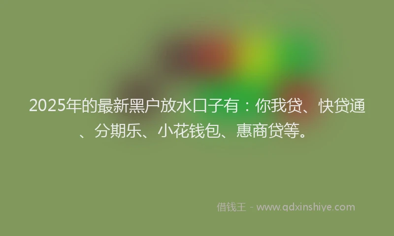 2025年的最新黑户放水口子有：你我贷、快贷通、分期乐、小花钱包、惠商贷等。