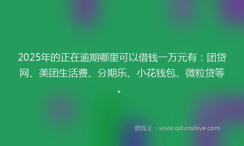 2025年的正在逾期哪里可以借钱一万元有：团贷网、美团生活费、分期乐、小花钱包、微粒贷等。