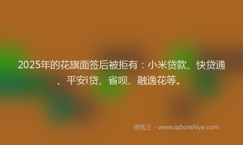 2025年的花旗面签后被拒有：小米贷款、快贷通、平安i贷、省呗、融逸花等。
