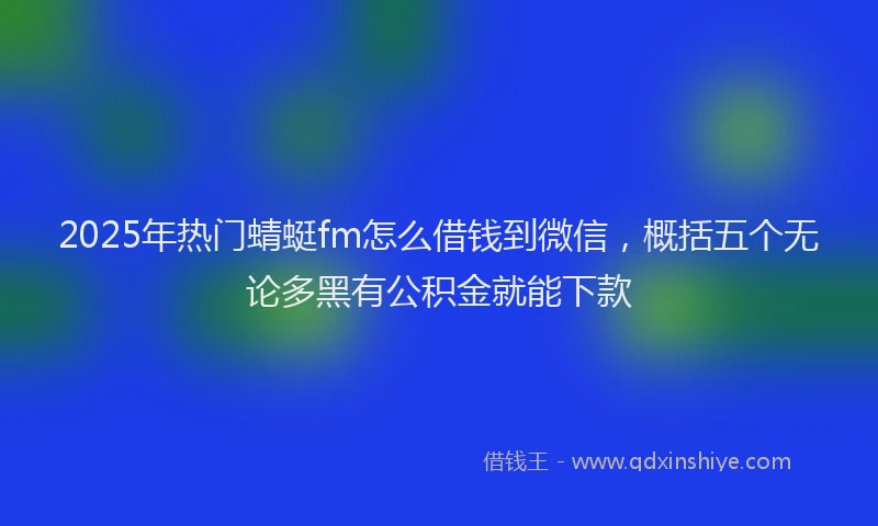 2025年热门蜻蜓fm怎么借钱到微信，概括五个无论多黑有公积金就能下款