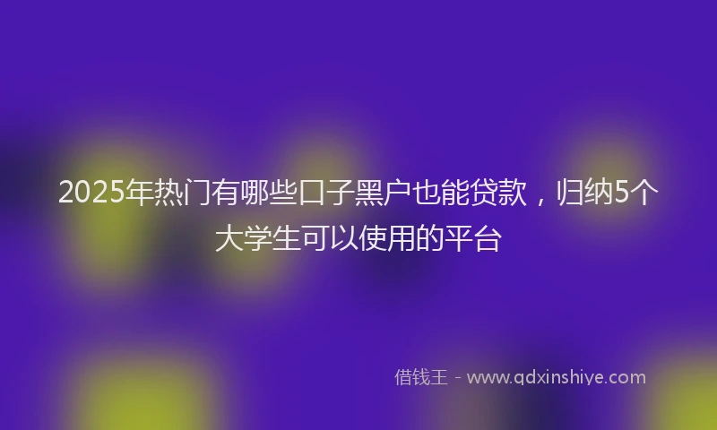 2025年热门有哪些口子黑户也能贷款，归纳5个大学生可以使用的平台