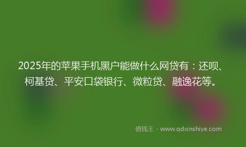 2025年的苹果手机黑户能做什么网贷有：还呗、柯基贷、平安口袋银行、微粒贷、融逸花等。