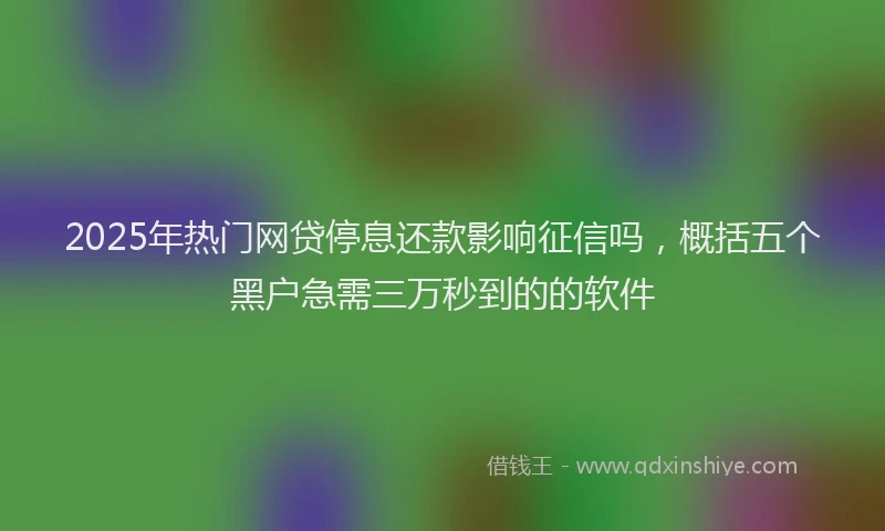 2025年热门网贷停息还款影响征信吗，概括五个黑户急需三万秒到的的软件