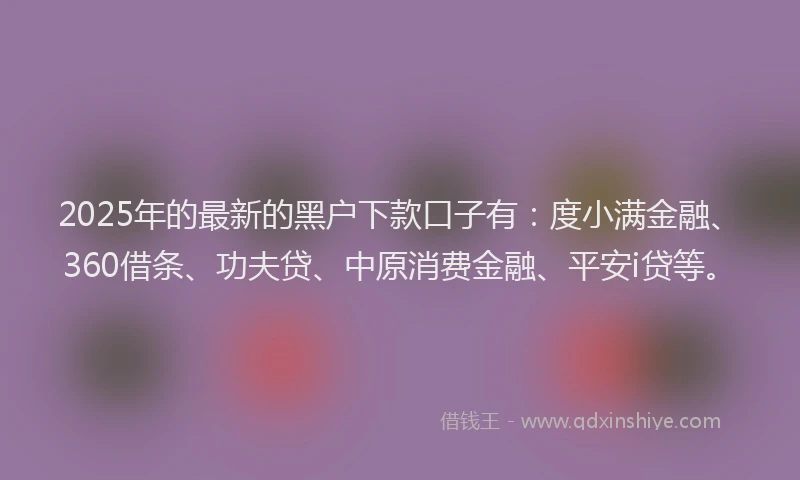 2025年的最新的黑户下款口子有：度小满金融、360借条、功夫贷、中原消费金融、平安i贷等。