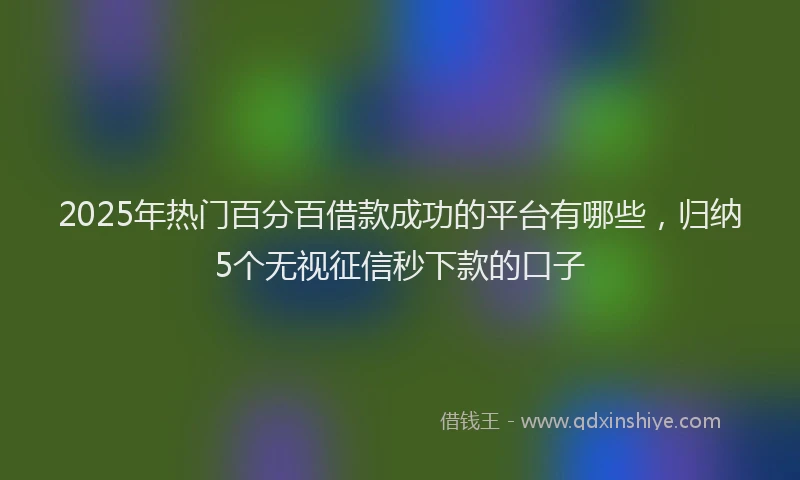 2025年热门百分百借款成功的平台有哪些，归纳5个无视征信秒下款的口子