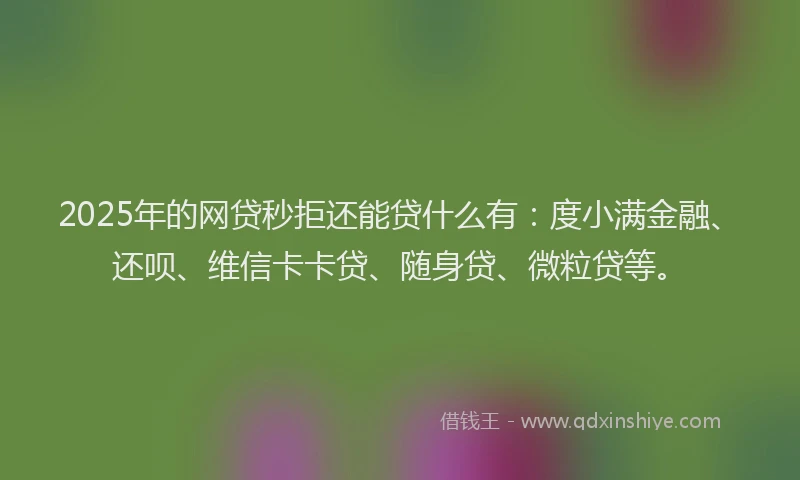 2025年的网贷秒拒还能贷什么有：度小满金融、还呗、维信卡卡贷、随身贷、微粒贷等。