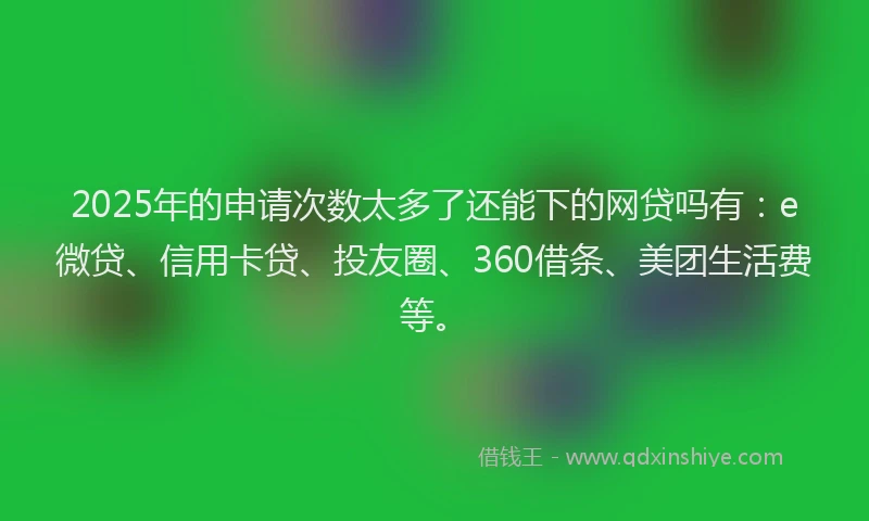 2025年的申请次数太多了还能下的网贷吗有：e微贷、信用卡贷、投友圈、360借条、美团生活费等。