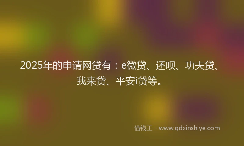 2025年的申请网贷有：e微贷、还呗、功夫贷、我来贷、平安i贷等。
