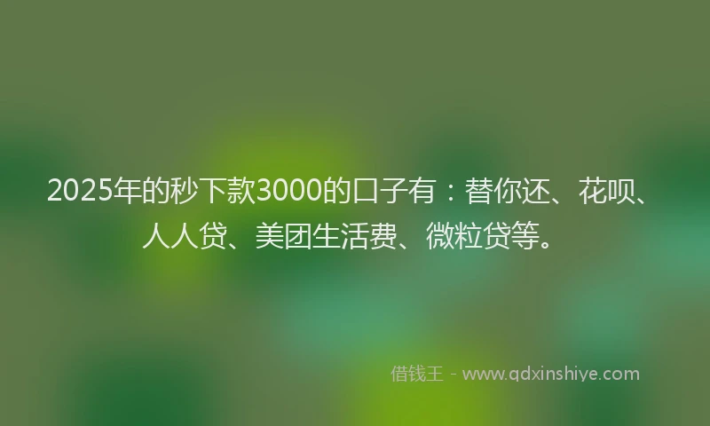 2025年的秒下款3000的口子有：替你还、花呗、人人贷、美团生活费、微粒贷等。