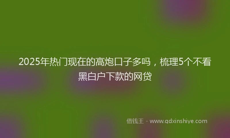 2025年热门现在的高炮口子多吗，梳理5个不看黑白户下款的网贷