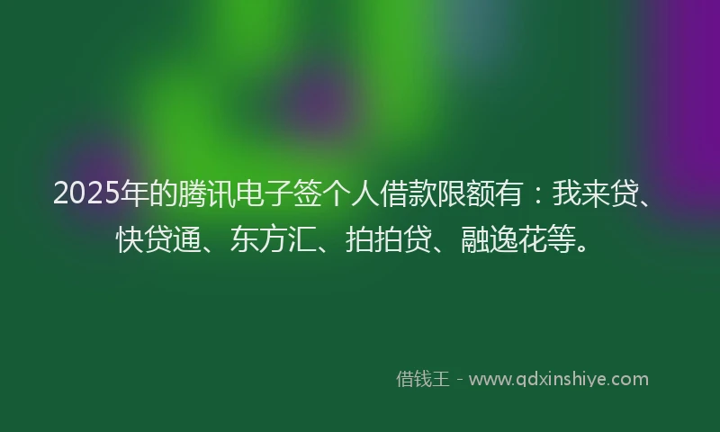 2025年的腾讯电子签个人借款限额有：我来贷、快贷通、东方汇、拍拍贷、融逸花等。