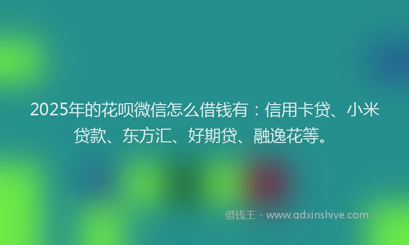 2025年的花呗微信怎么借钱有：信用卡贷、小米贷款、东方汇、好期贷、融逸花等。