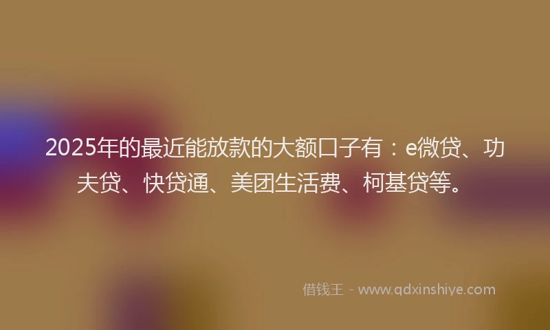 2025年的最近能放款的大额口子有：e微贷、功夫贷、快贷通、美团生活费、柯基贷等。