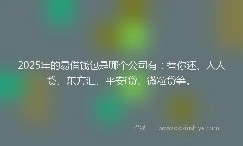 2025年的易借钱包是哪个公司有：替你还、人人贷、东方汇、平安i贷、微粒贷等。