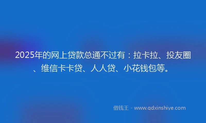 2025年的网上贷款总通不过有：拉卡拉、投友圈、维信卡卡贷、人人贷、小花钱包等。