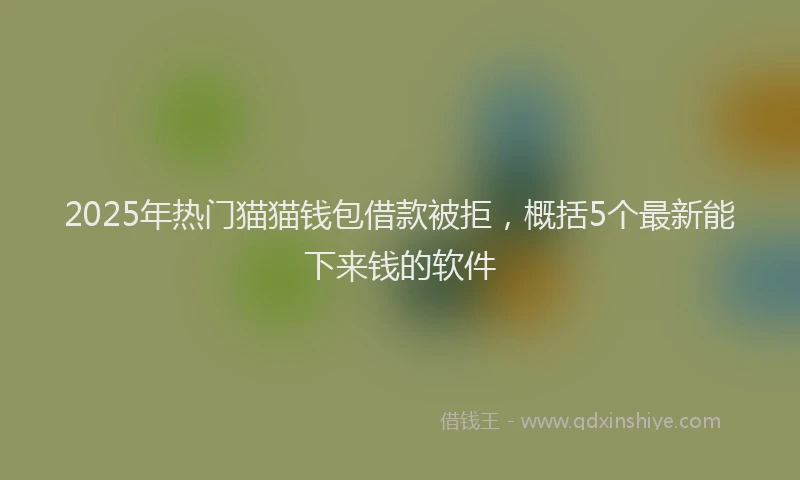 2025年热门猫猫钱包借款被拒，概括5个最新能下来钱的软件