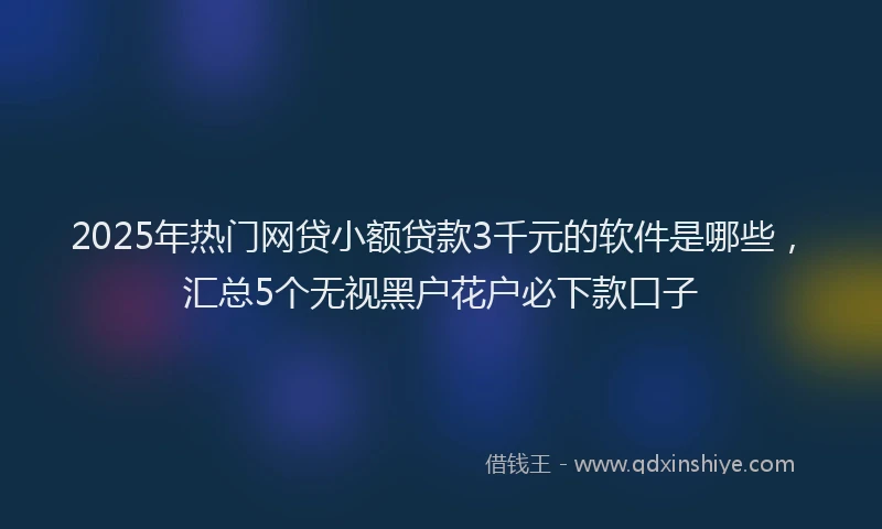 2025年热门网贷小额贷款3千元的软件是哪些，汇总5个无视黑户花户必下款口子