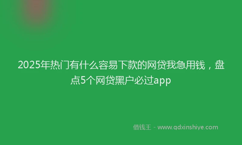 2025年热门有什么容易下款的网贷我急用钱，盘点5个网贷黑户必过app