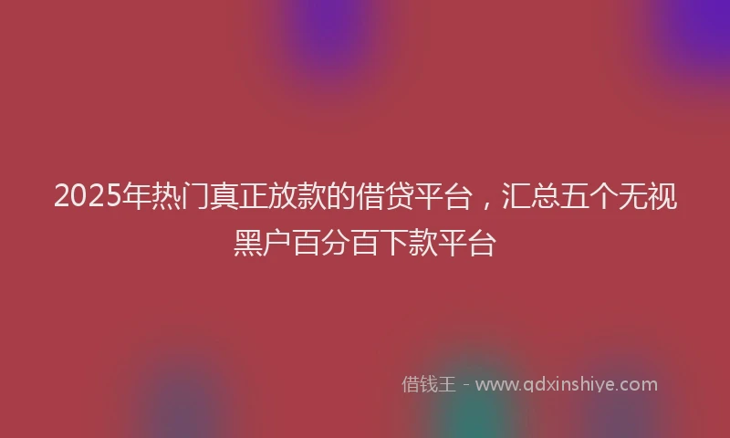 2025年热门真正放款的借贷平台，汇总五个无视黑户百分百下款平台