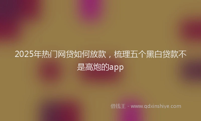 2025年热门网贷如何放款，梳理五个黑白贷款不是高炮的app