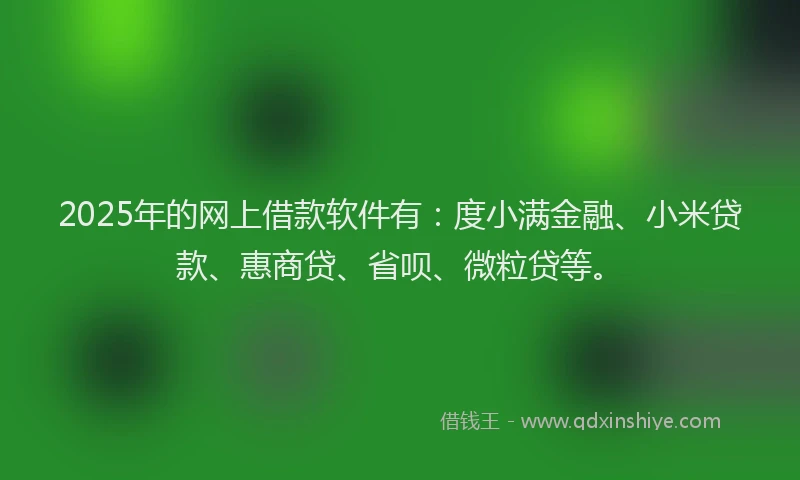 2025年的网上借款软件有：度小满金融、小米贷款、惠商贷、省呗、微粒贷等。