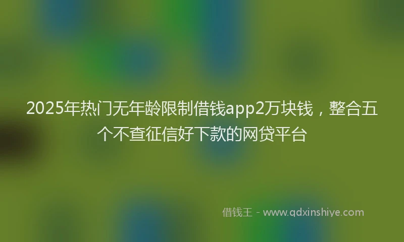 2025年热门无年龄限制借钱app2万块钱，整合五个不查征信好下款的网贷平台