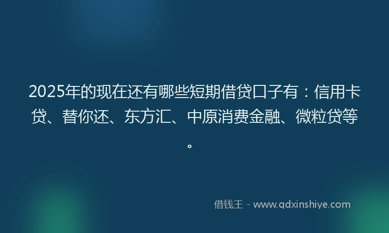 2025年的现在还有哪些短期借贷口子有：信用卡贷、替你还、东方汇、中原消费金融、微粒贷等。