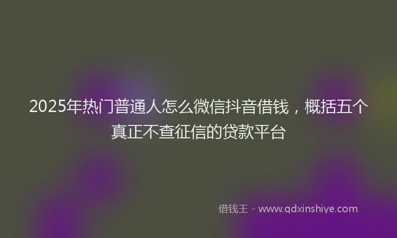 2025年热门普通人怎么微信抖音借钱，概括五个真正不查征信的贷款平台