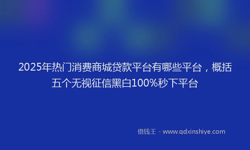 2025年热门消费商城贷款平台有哪些平台，概括五个无视征信黑白100%秒下平台
