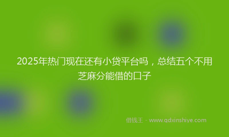 2025年热门现在还有小贷平台吗，总结五个不用芝麻分能借的口子