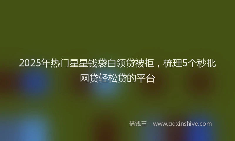 2025年热门星星钱袋白领贷被拒，梳理5个秒批网贷轻松贷的平台