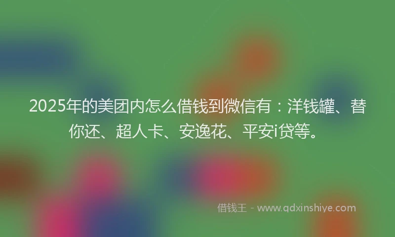 2025年的美团内怎么借钱到微信有：洋钱罐、替你还、超人卡、安逸花、平安i贷等。