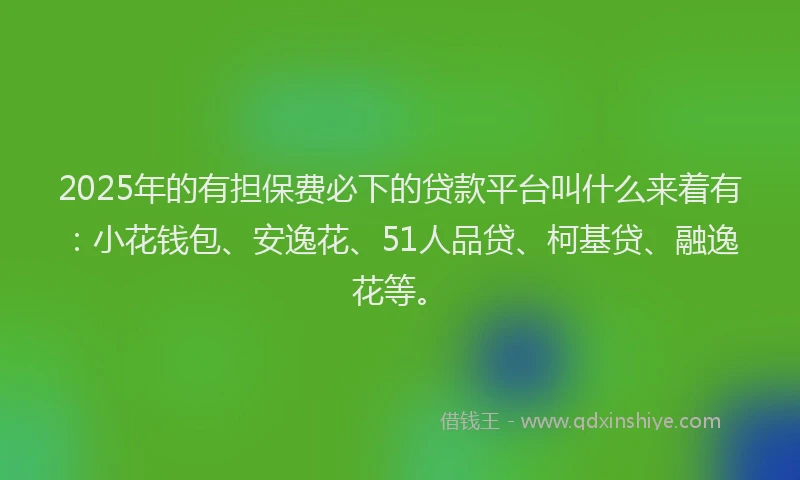 2025年的有担保费必下的贷款平台叫什么来着有：小花钱包、安逸花、51人品贷、柯基贷、融逸花等。
