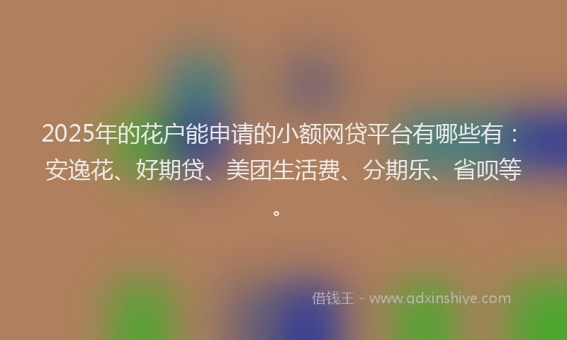 2025年的花户能申请的小额网贷平台有哪些有：安逸花、好期贷、美团生活费、分期乐、省呗等。