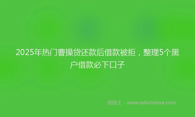 2025年热门曹操贷还款后借款被拒，整理5个黑户借款必下口子