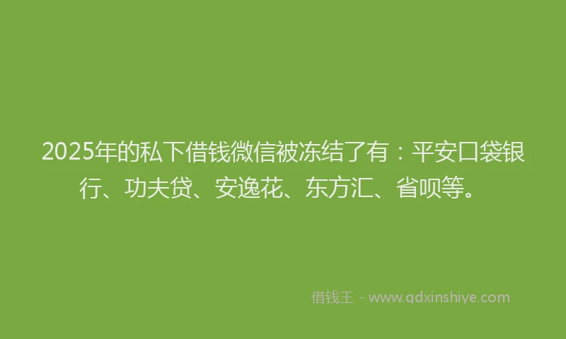 2025年的私下借钱微信被冻结了有：平安口袋银行、功夫贷、安逸花、东方汇、省呗等。