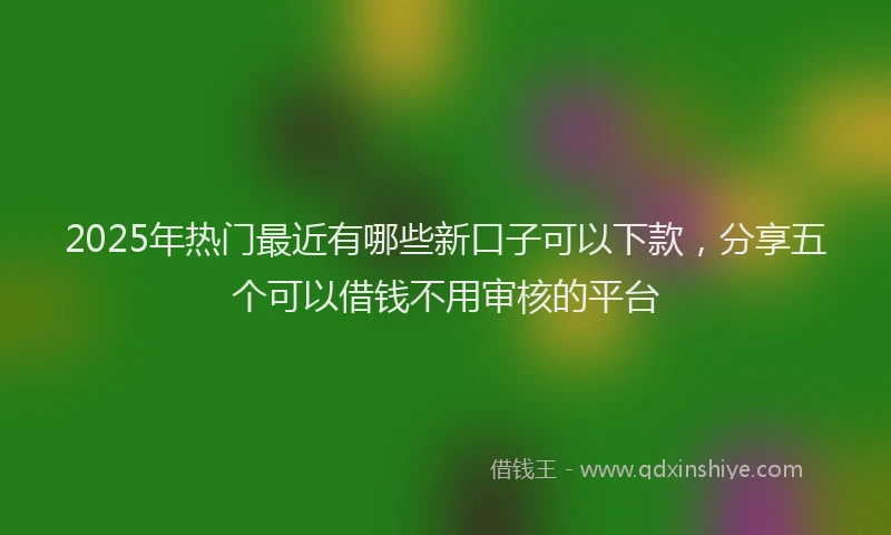 2025年热门最近有哪些新口子可以下款，分享五个可以借钱不用审核的平台
