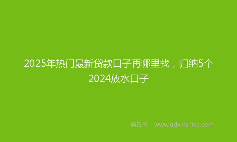 2025年热门最新贷款口子再哪里找，归纳5个2024放水口子