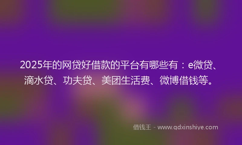 2025年的网贷好借款的平台有哪些有：e微贷、滴水贷、功夫贷、美团生活费、微博借钱等。