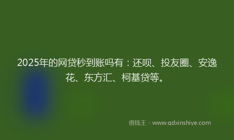 2025年的网贷秒到账吗有：还呗、投友圈、安逸花、东方汇、柯基贷等。