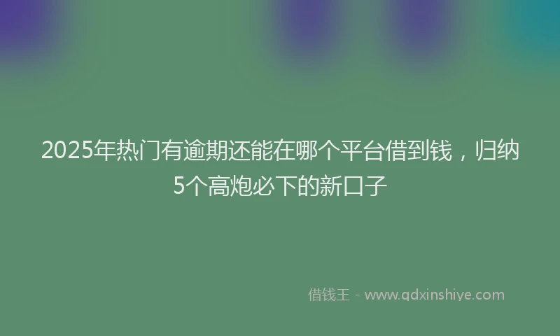 2025年热门有逾期还能在哪个平台借到钱，归纳5个高炮必下的新口子