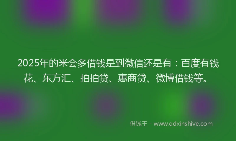 2025年的米会多借钱是到微信还是有：百度有钱花、东方汇、拍拍贷、惠商贷、微博借钱等。