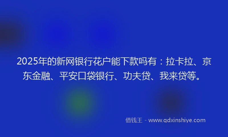 2025年的新网银行花户能下款吗有：拉卡拉、京东金融、平安口袋银行、功夫贷、我来贷等。