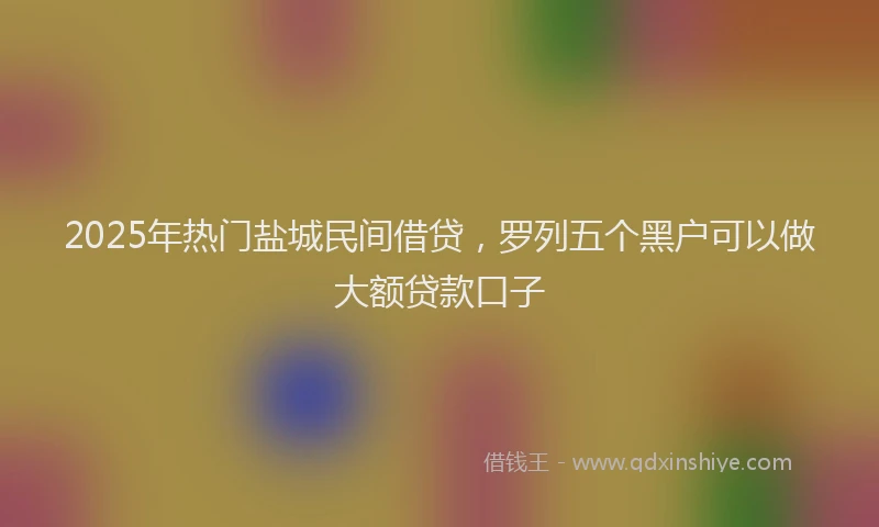 2025年热门盐城民间借贷，罗列五个黑户可以做大额贷款口子